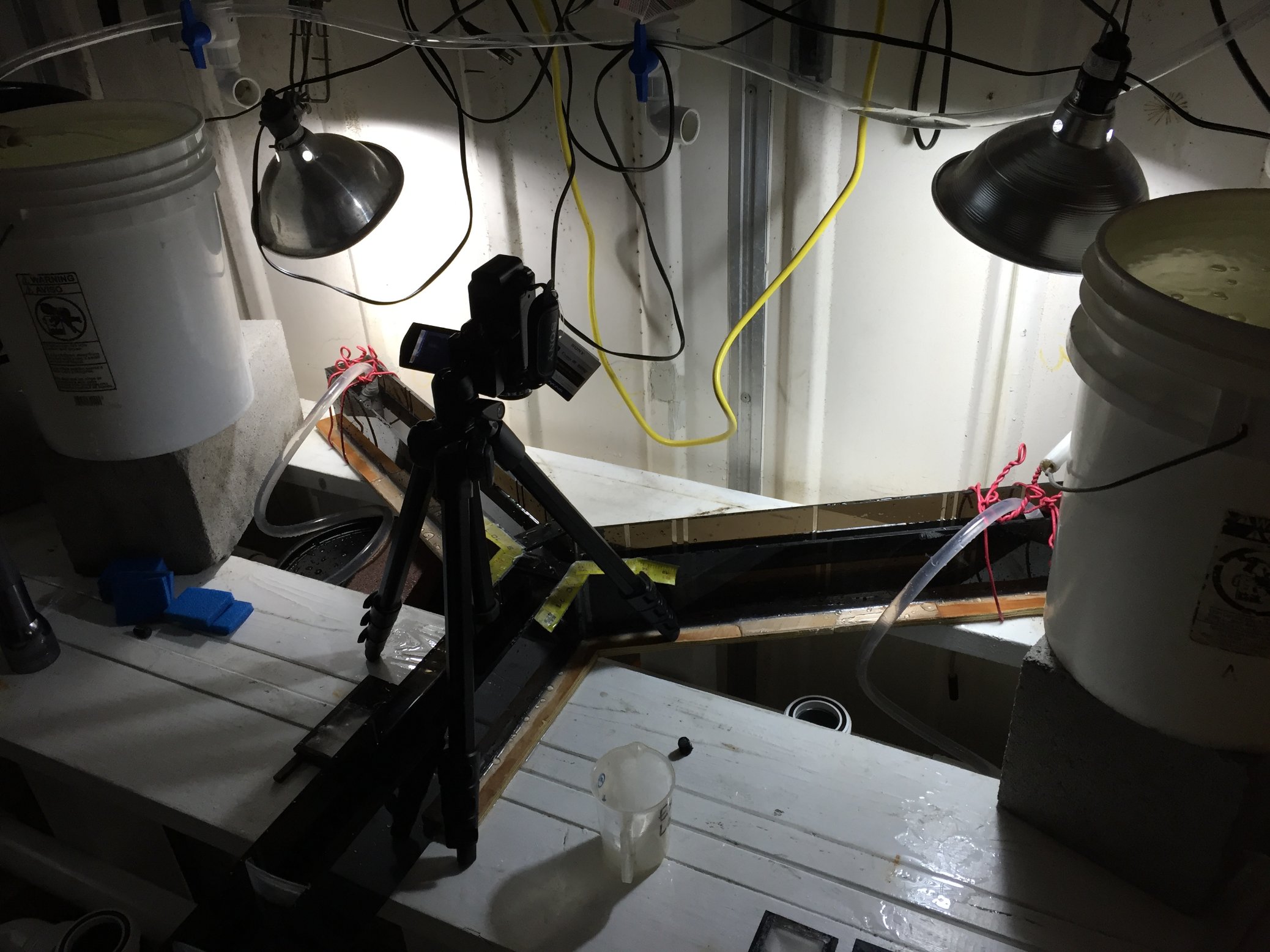 Fish behavioral experiment apparatus with a camera and overhead lighting